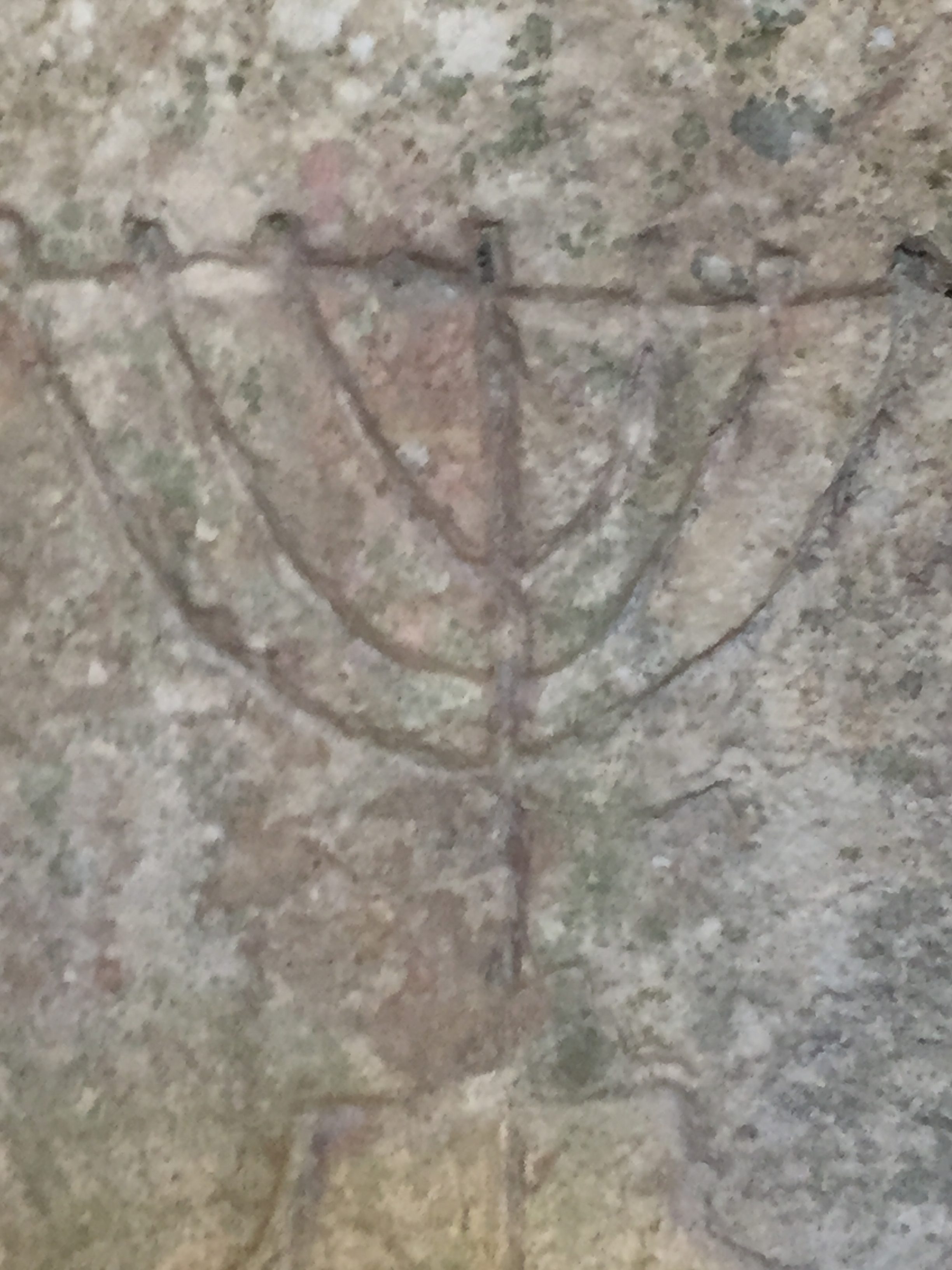 Jewish Heritage Malta- The Catacombs in Rabat