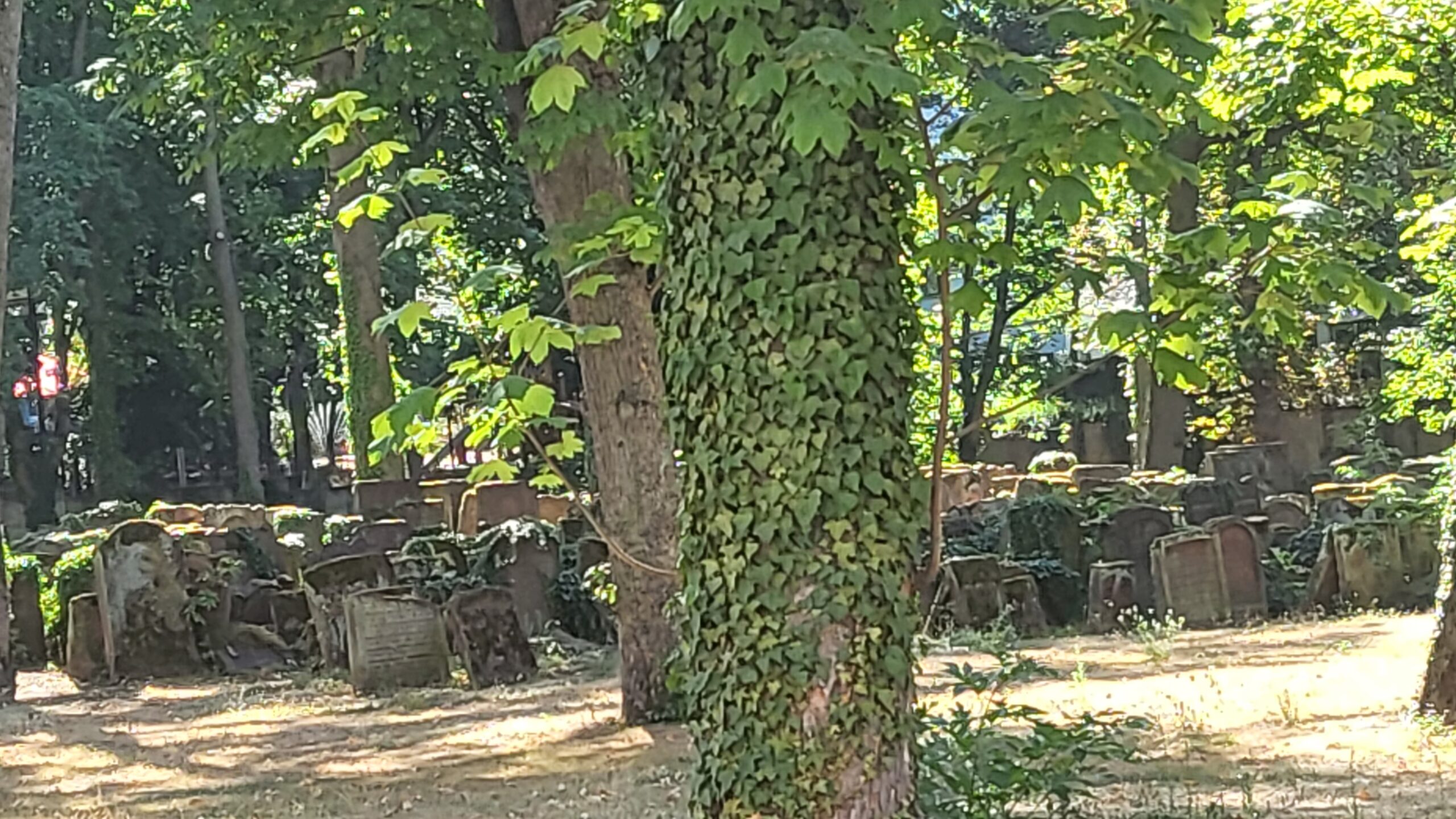 Pnei Yehoshua grave in Frankfurt- garvastones at Frankfurt Jewish cenetery