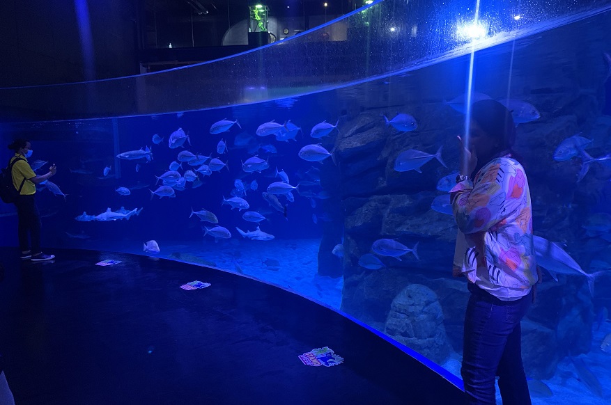 The Aquaria