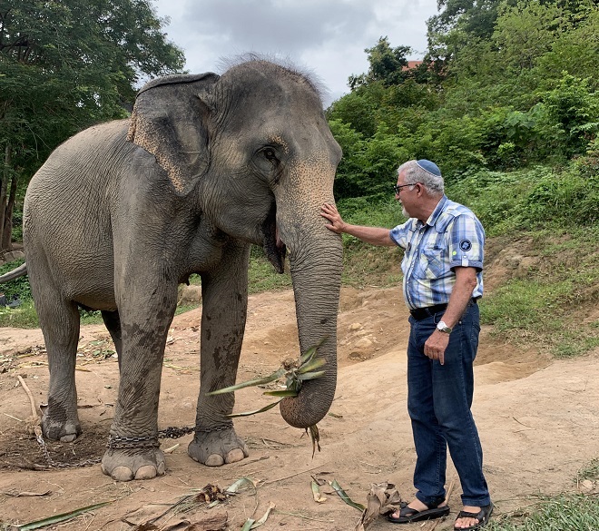Elephant Eco Farms