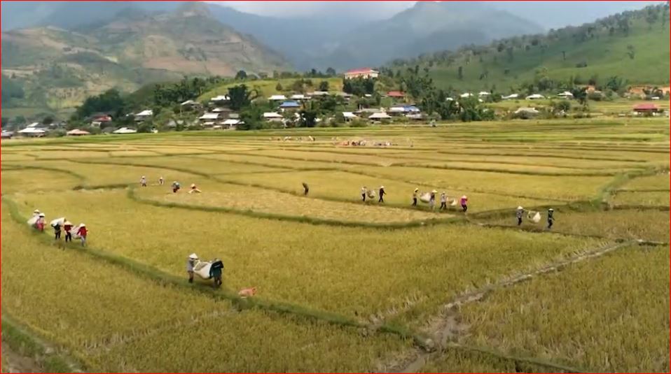 Jewish Travel in Vietnam - Agricultural Tourism and Rural Vietnam