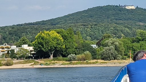 Cruising the Rhine River Near Bonn