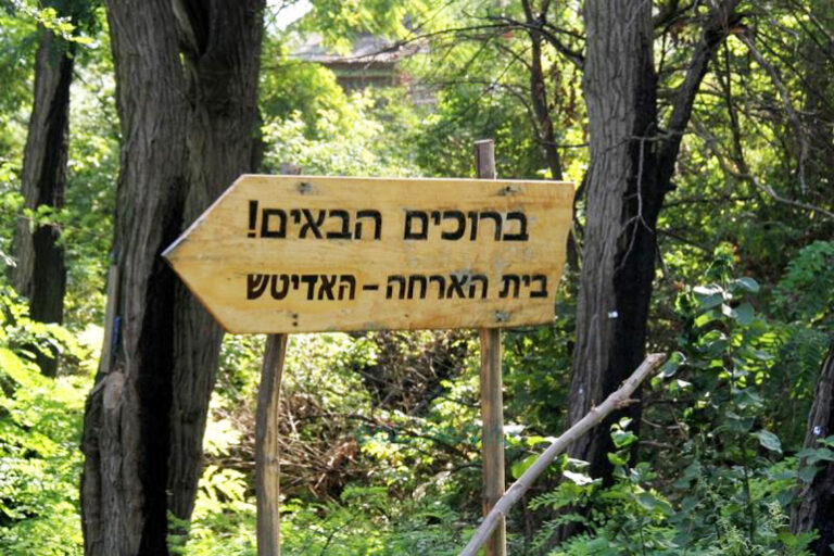 85316_76_32146_905927488