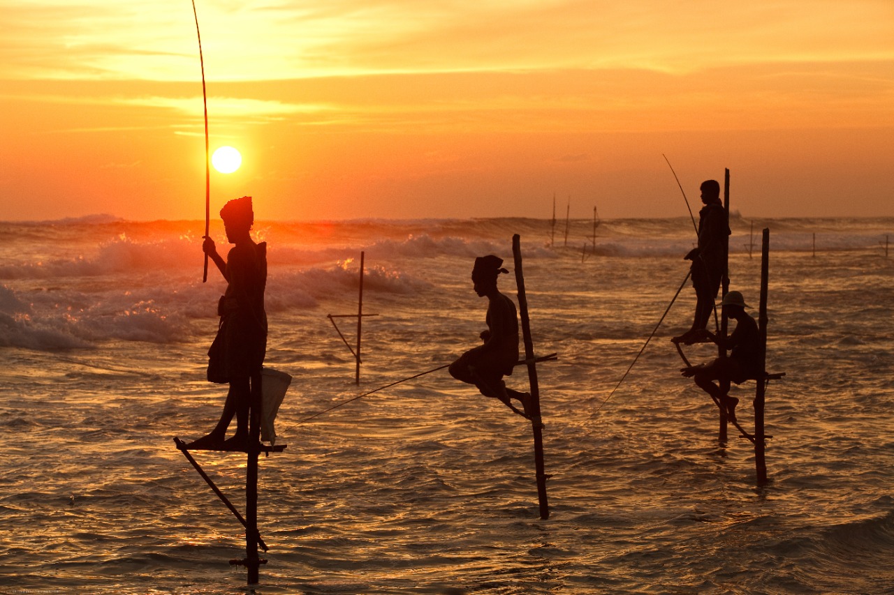 Fishers