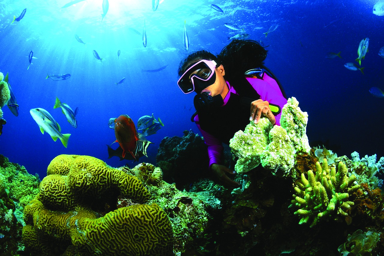 snorkeling
