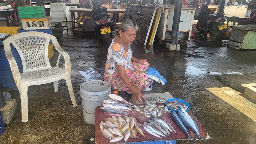 Fish Market of Negombo