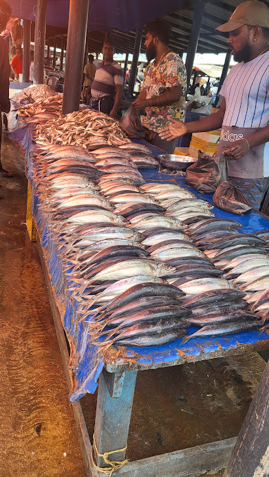 Fish Market of Negombo