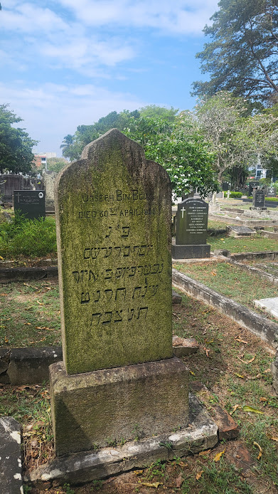 The Jewish Tombstones of Borella Cemetery