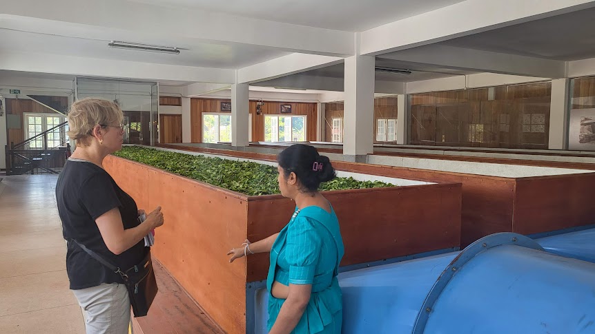Tea Factories