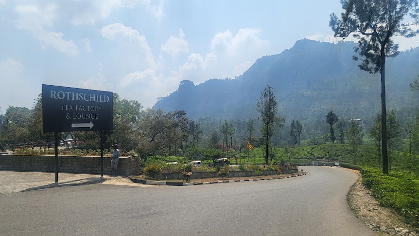 The Rothschild Family Tea plantations