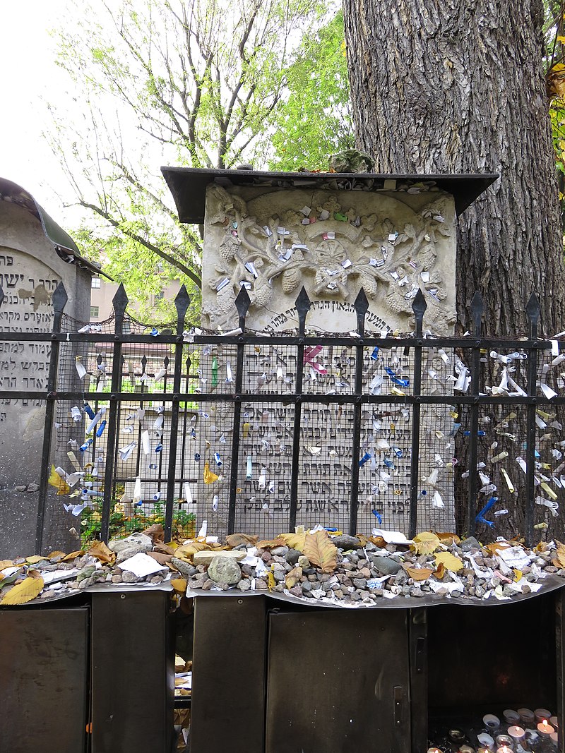 The Tree Above the Hidden Manuscript
