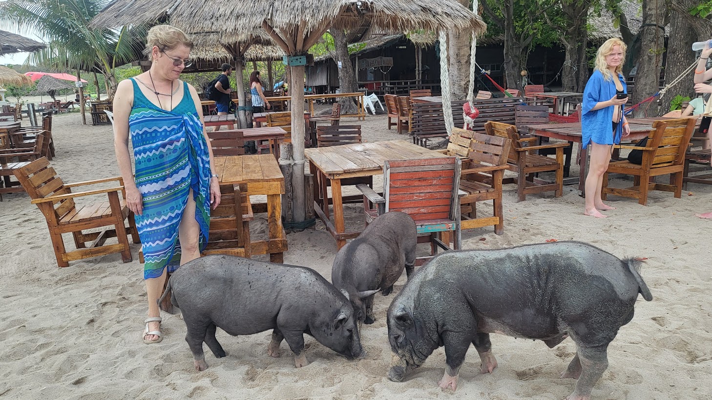 Pig Island