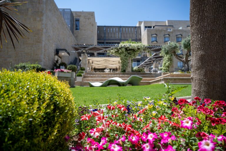 תמונה של WhatsApp‏ 2024-12-22 בשעה 11.49