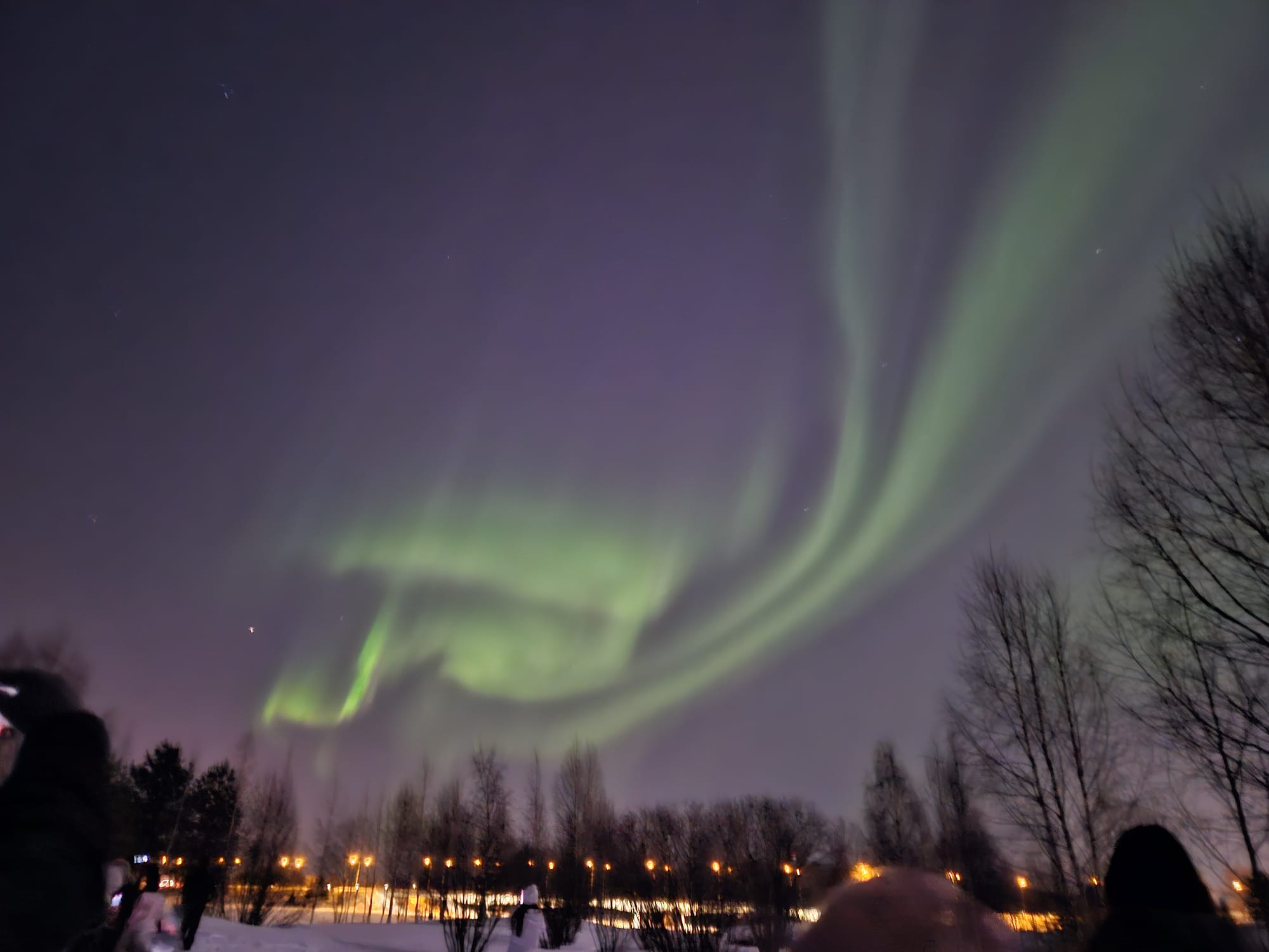 Northern Lights 
