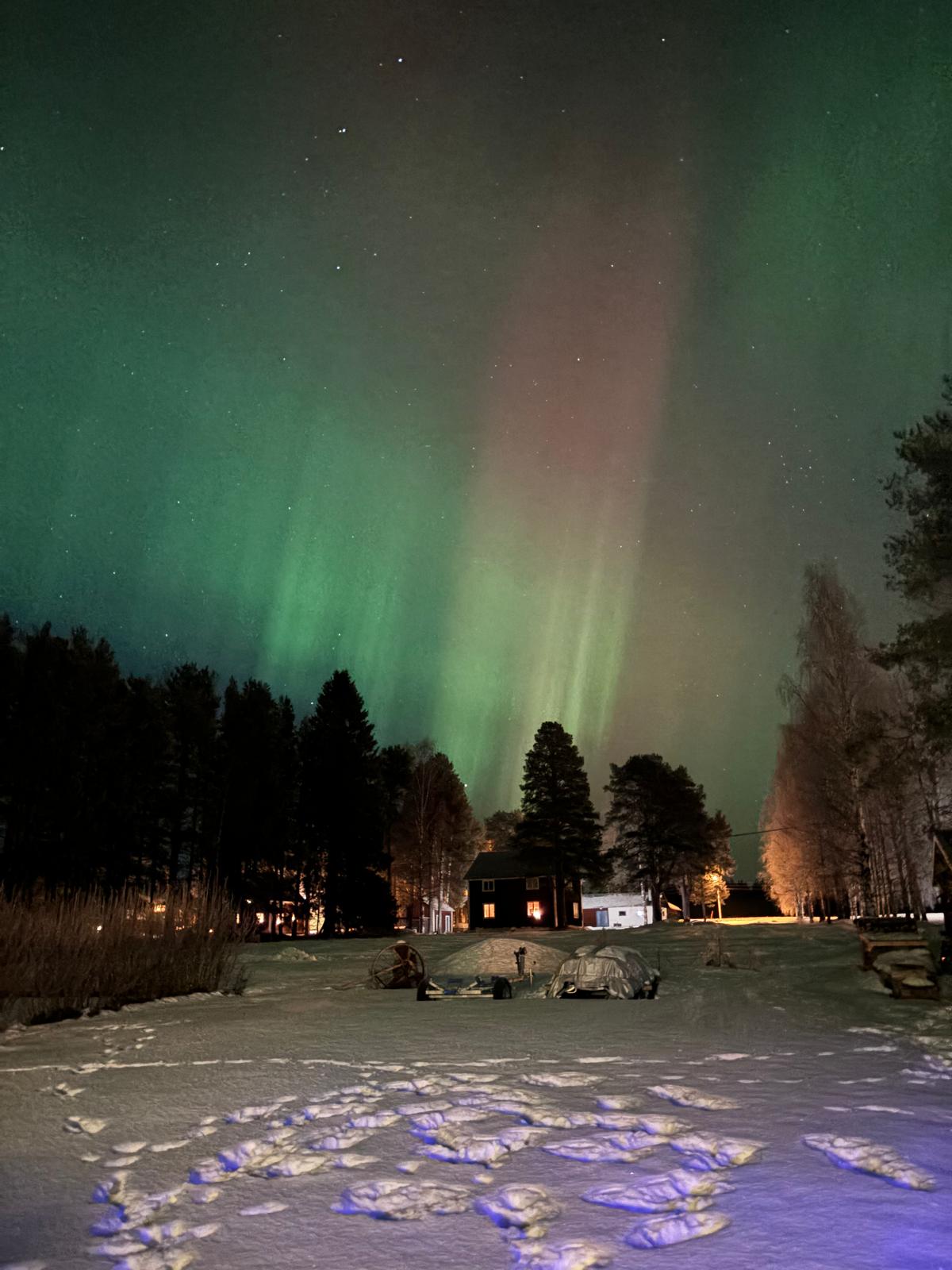 the Northern Lights