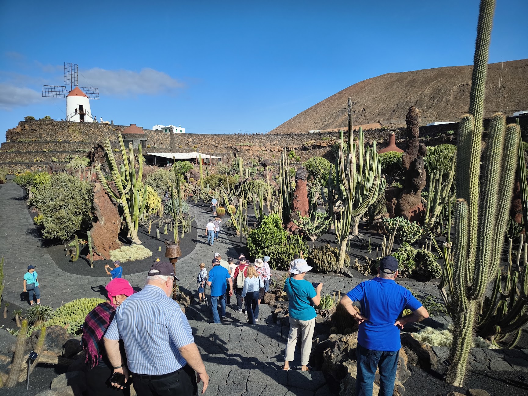 גן הקקטוסים של סזאר מנריקה 