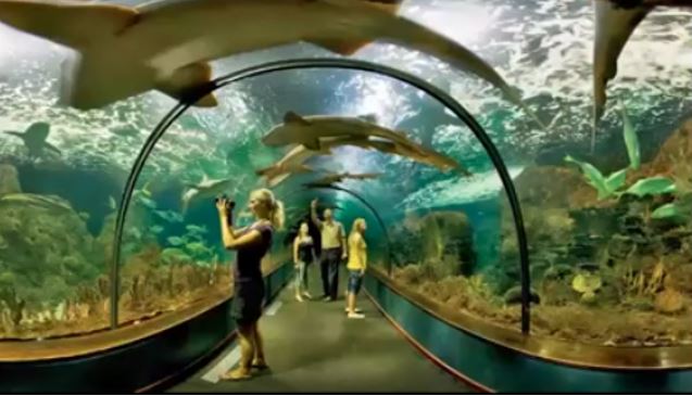 האקוואריום הגדול