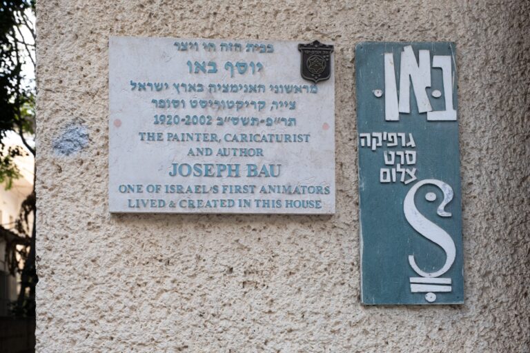 WhatsApp Image 2026-02-16 at םןו19.32